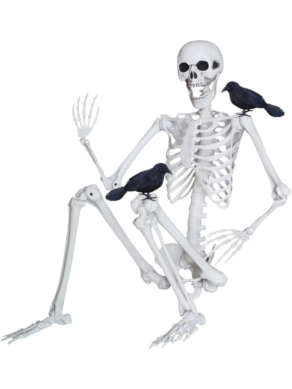 Realistic 5.4ft Halloween Skeleton with Movable Joints & Crows - Spooky Decor